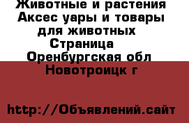 Животные и растения Аксесcуары и товары для животных - Страница 2 . Оренбургская обл.,Новотроицк г.